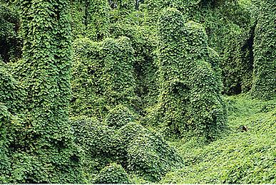 传闻：《生化危机9》是系列最大规模和预算游戏