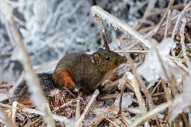 初代猎空一处服装细节在《守望先锋2》里消失了